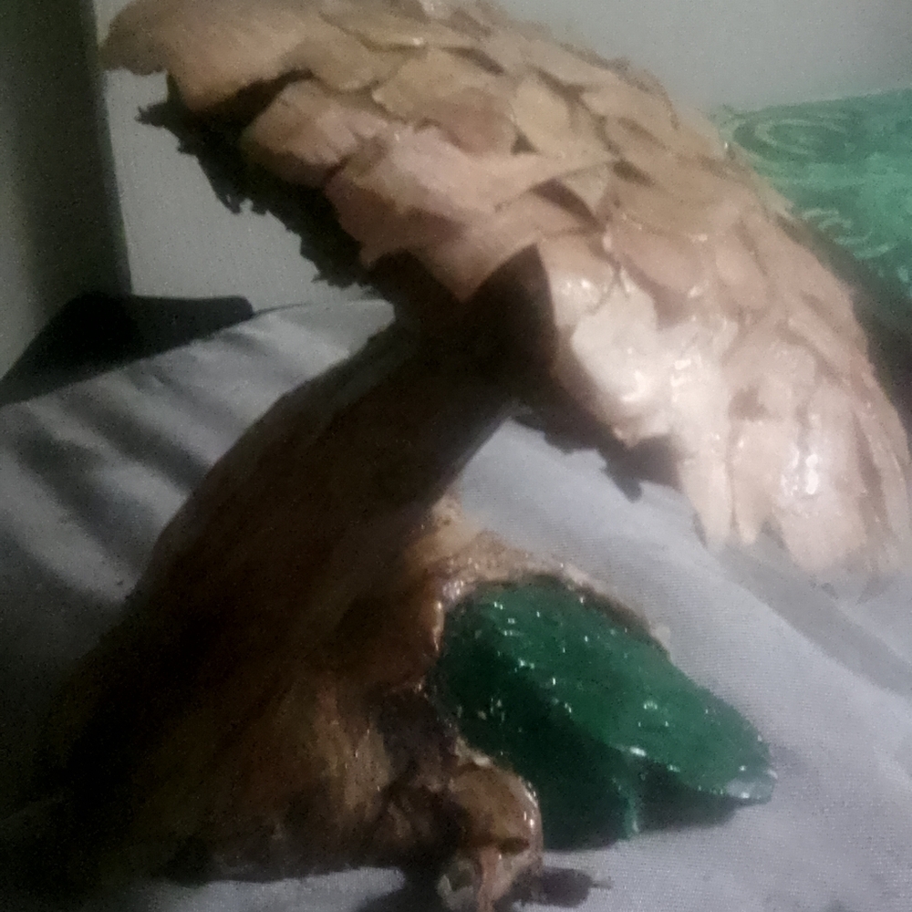 Hand carved wooden mushroom nightlights